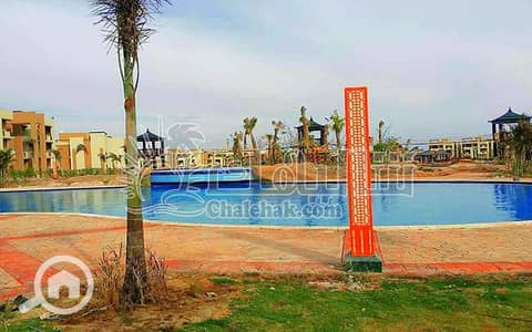 شاليه 2 غرفة نوم للبيع في العين السخنة، السويس - WhatsApp Image 2025-03-27 at 3.22. 06 PM. jpeg
