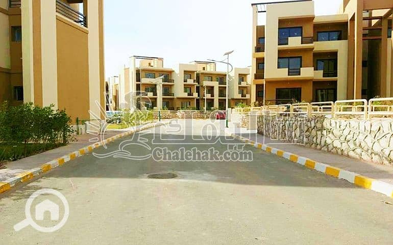 5 WhatsApp Image 2025-03-27 at 3.22. 10 PM (1). jpeg