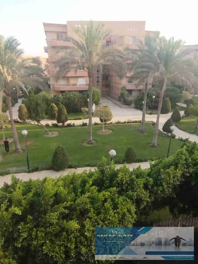 3 Bedroom Apartment for Rent in New Cairo, Cairo - 1001229785. jpg