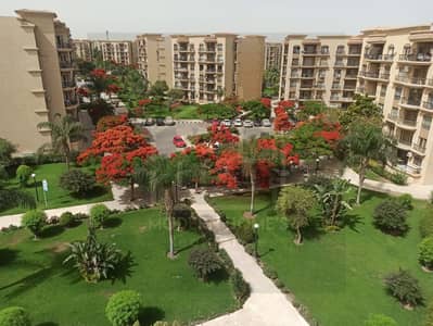 فلیٹ 2 غرفة نوم للايجار في القاهرة الجديدة، القاهرة - WhatsApp Image 2025-09-07 at 5.21. 01 PM (1). jpeg