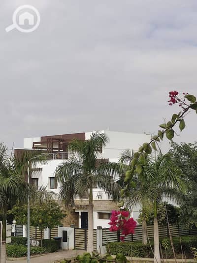 2 Bedroom Villa for Sale in New Cairo, Cairo - 481903428_122115742058716416_1206970716409908267_n. jpg
