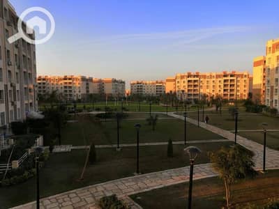 2 Bedroom Flat for Rent in Madinaty, Cairo - IMG-20250907-WA0265. jpg