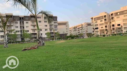 4 Bedroom Flat for Rent in Madinaty, Cairo - 1000365874. jpg