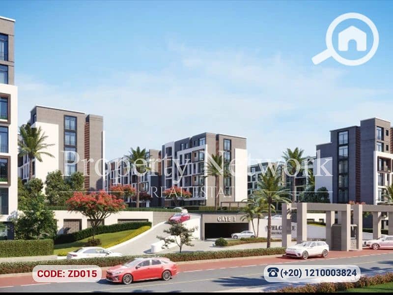5 ZD015 (5). png