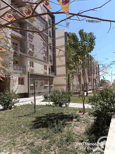 3 Bedroom Apartment for Sale in New Cairo, Cairo - 1000022183. jpg