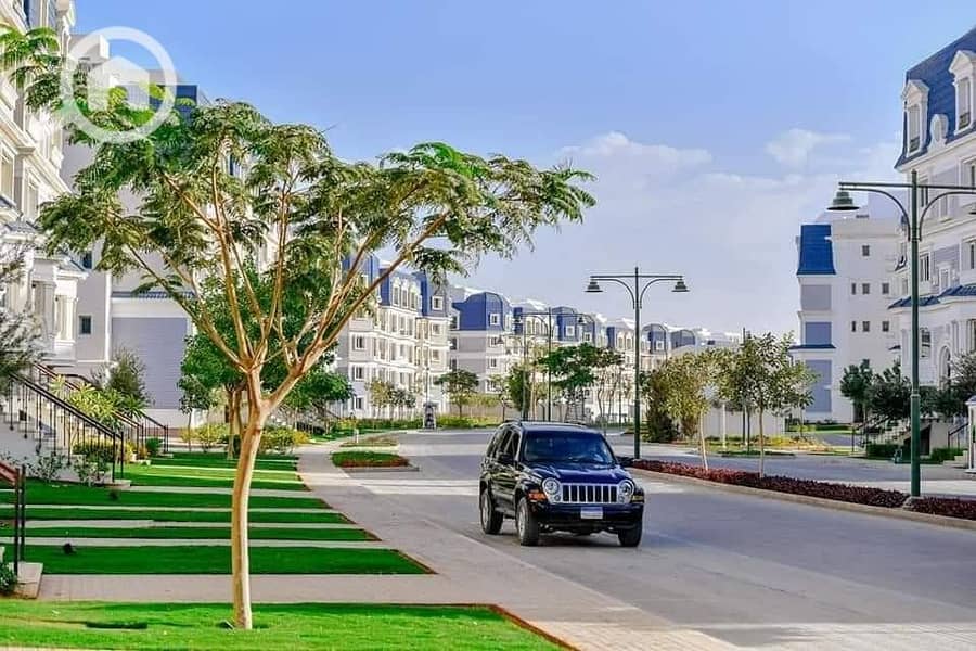 3 439672224_990359339190407_991611662093275881_n. jpg