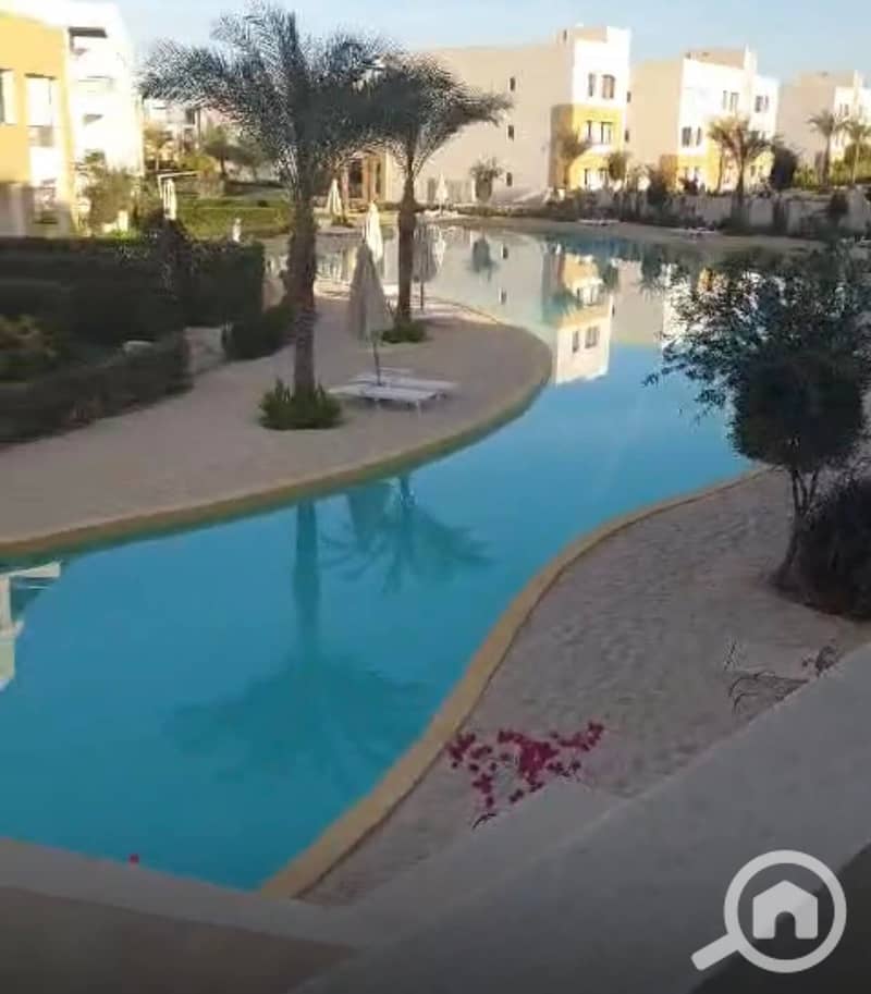 2 480693687_604780348996558_1676784158364394391_n. jpg