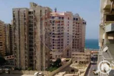 فلیٹ 3 غرف نوم للايجار في رشدي، الإسكندرية - 1. jpg