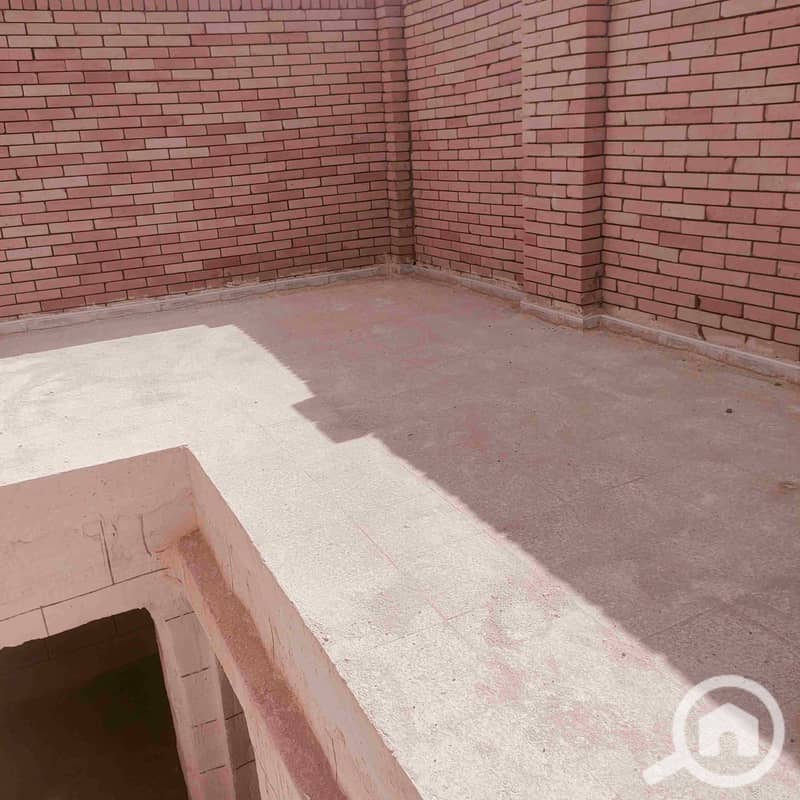 13 1000009061. jpg
