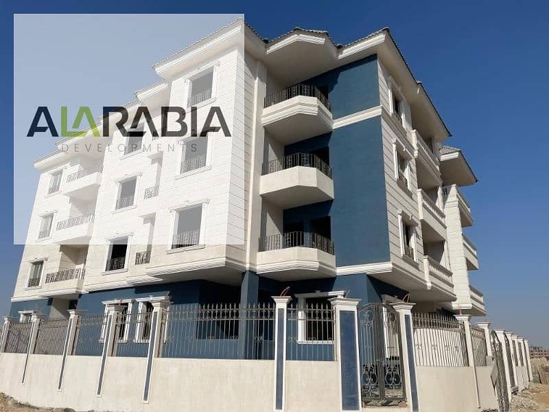 6 2024_10_07_14_55_IMG_8665. jpg