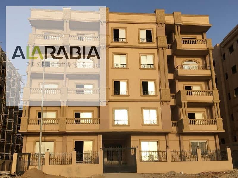 13 40 اللوتس الشمالية. jpg