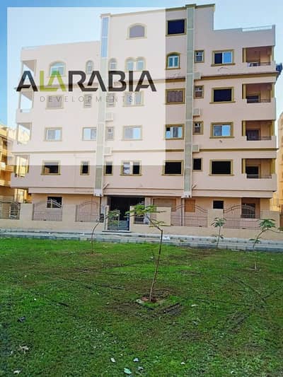 فلیٹ 4 غرف نوم للبيع في القاهرة الجديدة، القاهرة - f17bdb72-a9da-4d1d0-84e2-501e69af9803. jpg