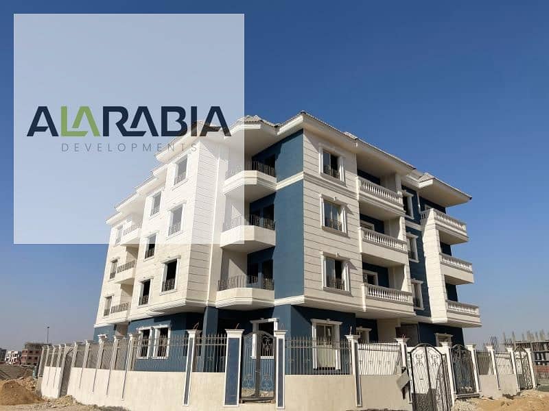 4 2024_10_07_14_54_IMG_8662. jpg