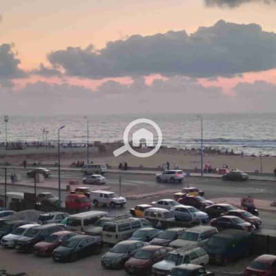 فلیٹ 2 غرفة نوم للايجار في ميامي، الإسكندرية - 1000288282. jpg