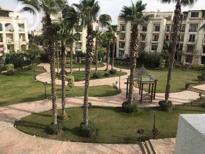 3 Bedroom Apartment for Rent in Sheikh Zayed, Giza - 1000699734. jpg