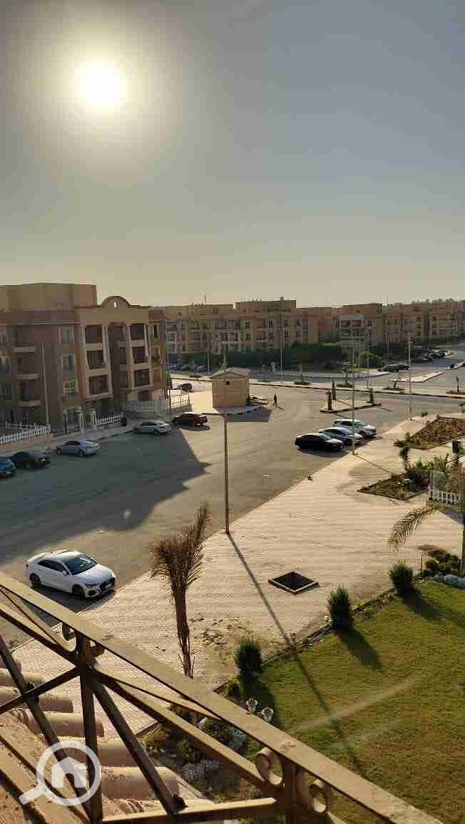 9 21215. jpg