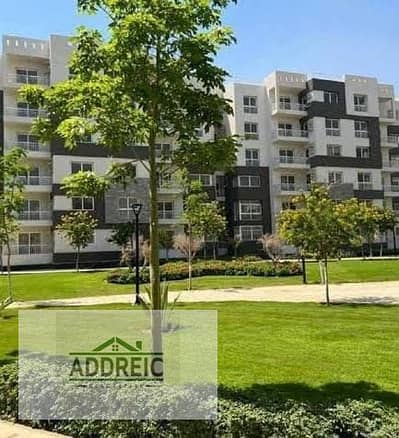 3 Bedroom Apartment for Sale in Madinaty, Cairo - WhatsApp Image 2025-08-27 at 15.59. 00_e0db8691. jpg