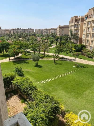 3 Bedroom Flat for Sale in Madinaty, Cairo - IMG-20250908-WA0181. jpg