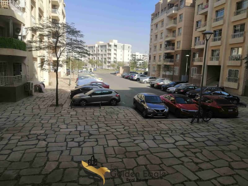 4 1000013653. jpg