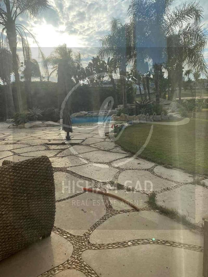 6 60ba3199-fd06-4f4a-a9dd-5f27778d167a. jpg