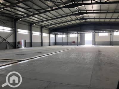 Factory for Rent in 10th of Ramadan, Sharqia - 2022_02_07_15_03_IMG_8454. JPG