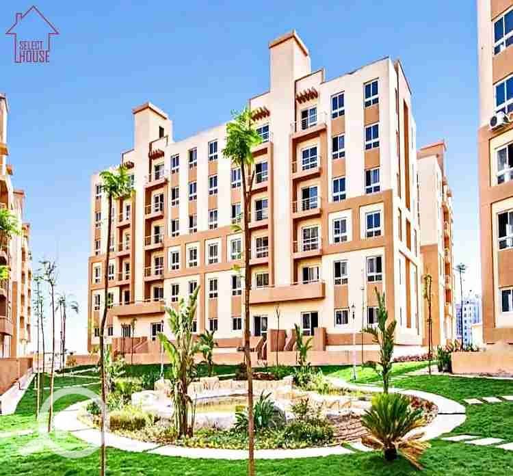 دجلة-بالمز. webp