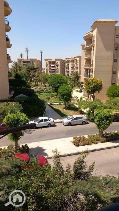 فلیٹ 3 غرف نوم للايجار في القاهرة الجديدة، القاهرة - 7c6b9702-3f5d-4991-9ac0-2fdb2dae0382. jpg