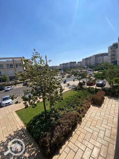3 Bedroom Flat for Sale in Madinaty, Cairo - WhatsApp Image 2025-09-09 at 4.04. 18 PM (4). jpeg