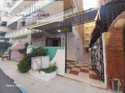 شقة 3 غرف نوم للبيع في النخيل، الإسكندرية - 1000257037. heic