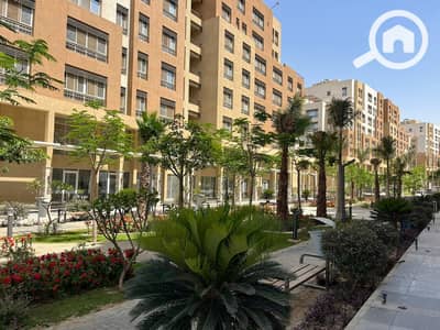 شقة 3 غرف نوم للبيع في العاصمة الإدارية الجديدة، القاهرة - WhatsApp Image 2025-09-04 at 4.39. 29 PM. jpeg