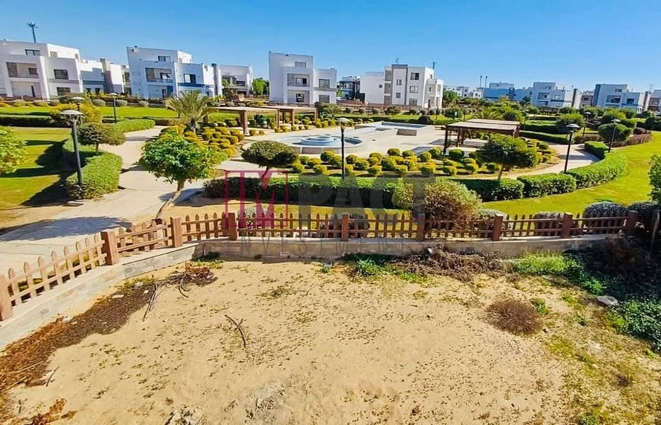 10 491922004_1188297362696212_194733092449345091_n. jpg