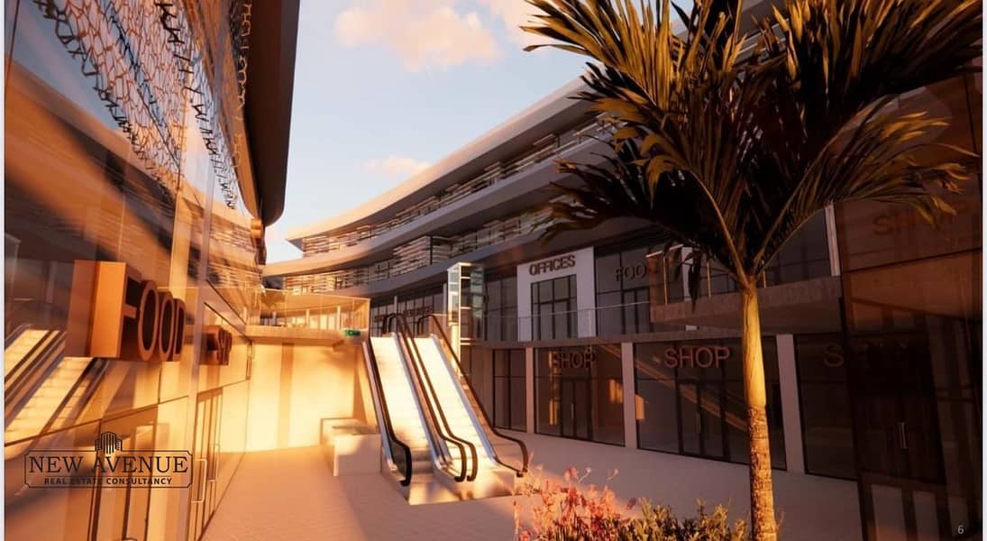 4 WhatsApp Image 2025-09-09 at 2.52. 59 AM. jpeg