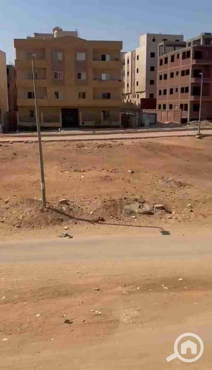 3 IMG_٢٠٢٥٠٩٠٩_١٥٥٠٥٥. jpg