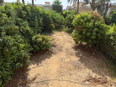 5 Bedroom Twin House for Sale in Shorouk City, Cairo - WhatsApp Image 2025-08-25 at 2.56. 17 PM (1). jpg