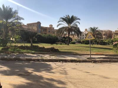 3 Bedroom Apartment for Sale in New Cairo, Cairo - IMG_9220974EA1CC-5. jpeg
