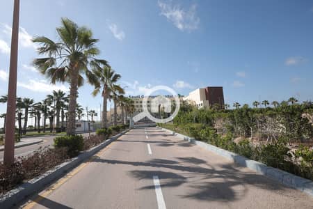 3 Bedroom Apartment for Sale in Agami, Alexandria - IMG_2349. JPG