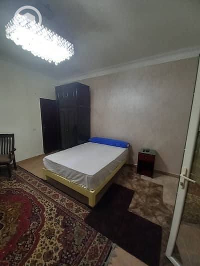 استوديو  للايجار في القاهرة الجديدة، القاهرة - IMG-20250824-WA0357. jpg