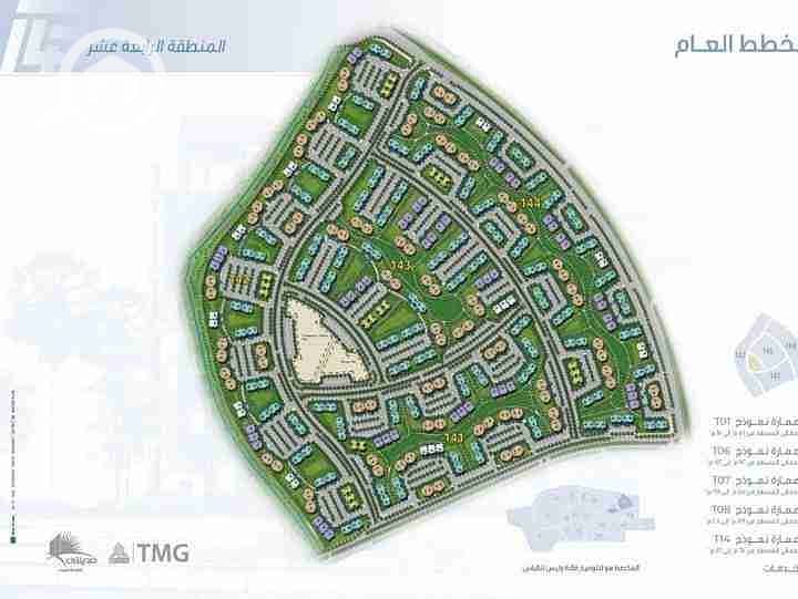 5 1000170473. jpg