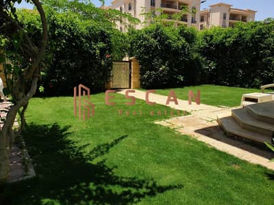 3 Bedroom Villa for Rent in New Cairo, Cairo - WhatsApp Image 2025-09-10 at 13.15. 39_b97dc105. jpg