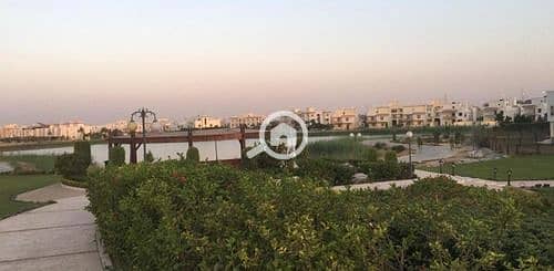 11 lake-dream-comp-eg-ezbet-abd-el-ḥamîd-bc-7603604-0. jpg