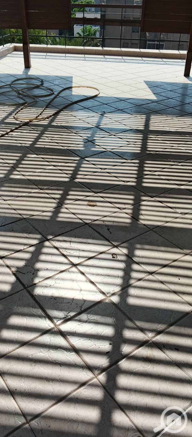 3 1000147907. jpg