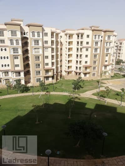 2 Bedroom Flat for Rent in Madinaty, Cairo - WhatsApp Image 2025-09-10 at 20.28. 08_a2110066. jpg