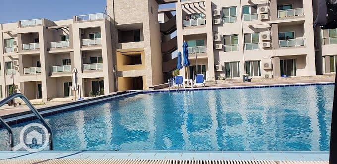 15 20190607_071424. jpg