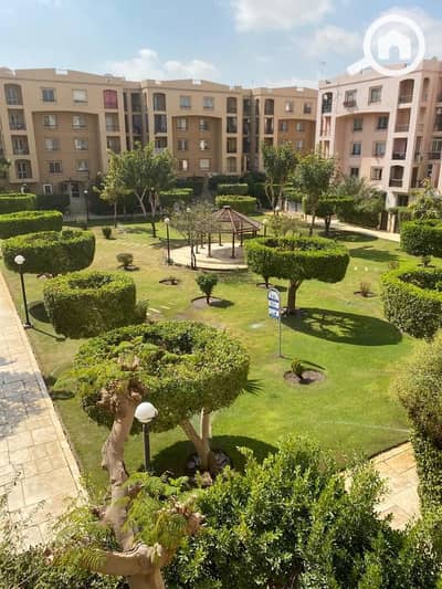 فلیٹ 3 غرف نوم للايجار في القاهرة الجديدة، القاهرة - IMG-20250910-WA0867. jpg