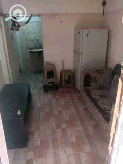 1 Bedroom Apartment for Rent in Dokki, Giza - IMG-20250830-WA0003. jpg