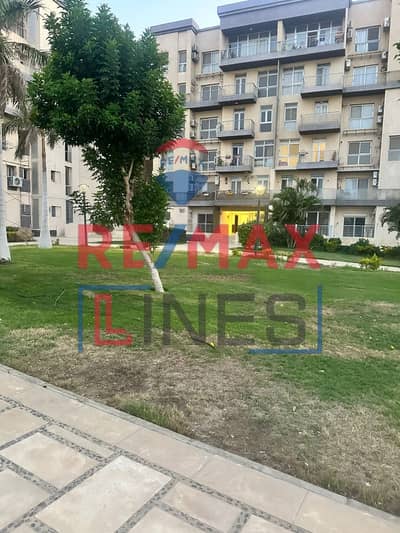 2 Bedroom Flat for Sale in Madinaty, Cairo - WhatsApp Image 2025-09-11 at 12.24. 45 PM. jpeg