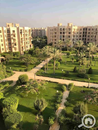 شقة 2 غرفة نوم للايجار في القاهرة الجديدة، القاهرة - 1001987164. jpg
