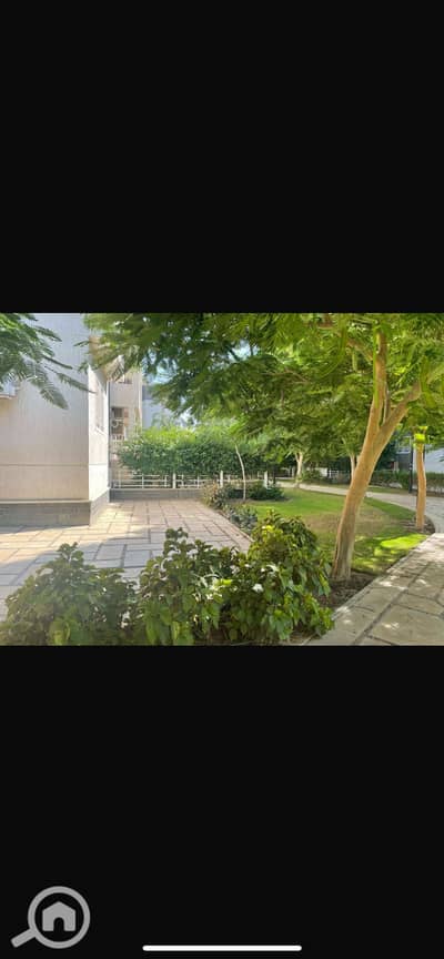 3 Bedroom Apartment for Rent in Madinaty, Cairo - IMG_6105. png