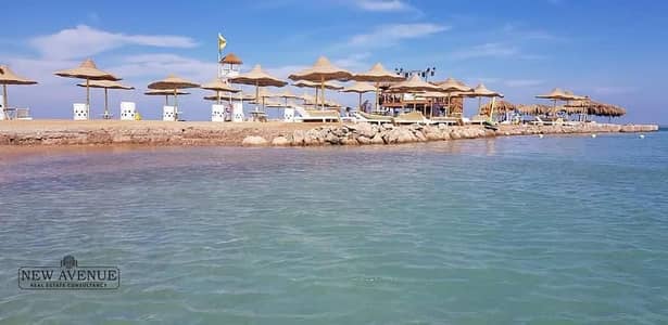 4 Bedroom Villa for Sale in Makadi Bay, Red Sea - WhatsApp Image 2025-08-30 at 11.14. 59 AM (1). jpeg