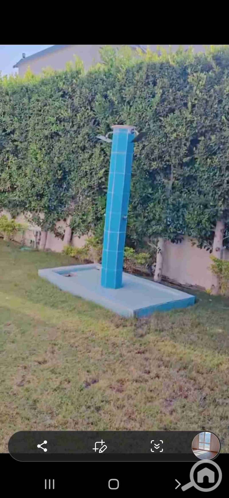 8 1000255364. jpg